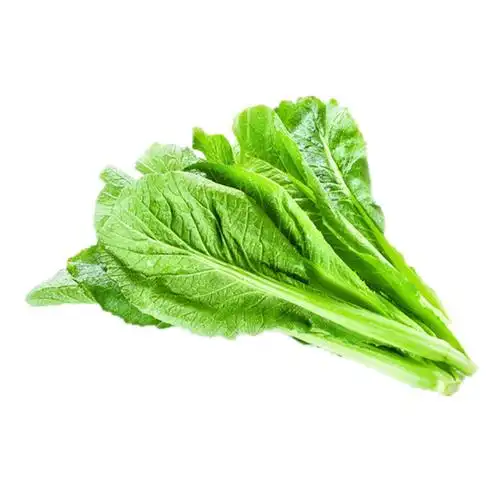 菜种四季甜春种子盆栽广东小青青菜甜嫩芥菜家庭园艺种子