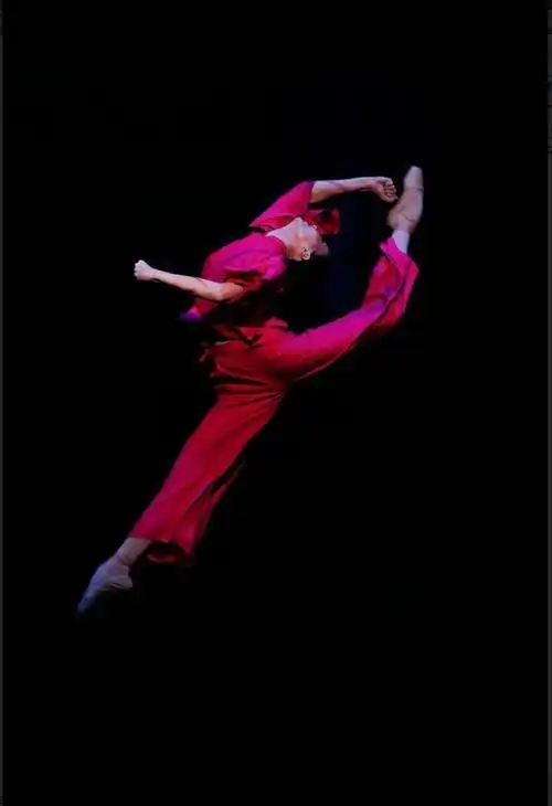 2) 倒踢紫金冠: 在第一场清华逃跑独舞中,准确表达出琼花逃跑的决心.