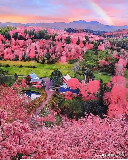 专业摄影师这5个拍风光技巧帮你把风景照片拍好看