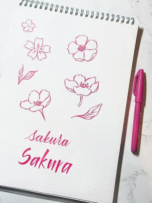 派通笔樱花速写