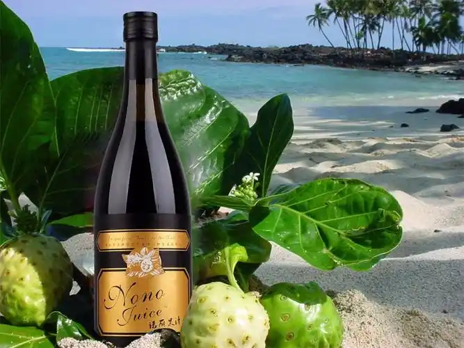 斐济有哪些特产