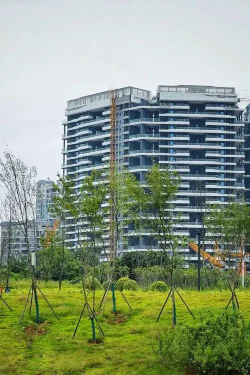 揭秘天著现象|凭什么突破楼市天花板?_南湖