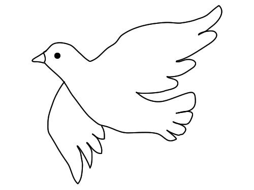 各种各样的和平鸽简笔画图片