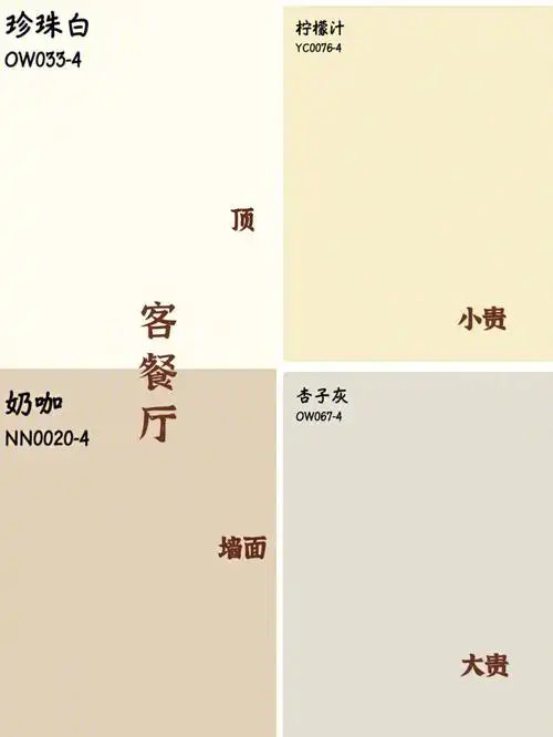 立邦乳胶漆定色啦