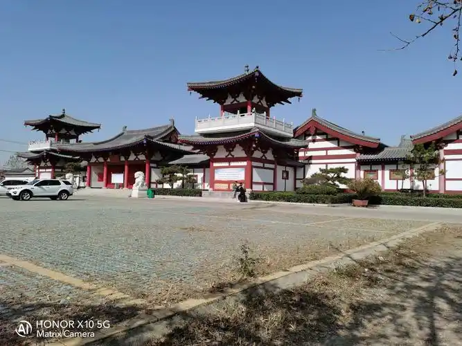 第一站我们来到江苏徐州邳州白马寺看银杏树.