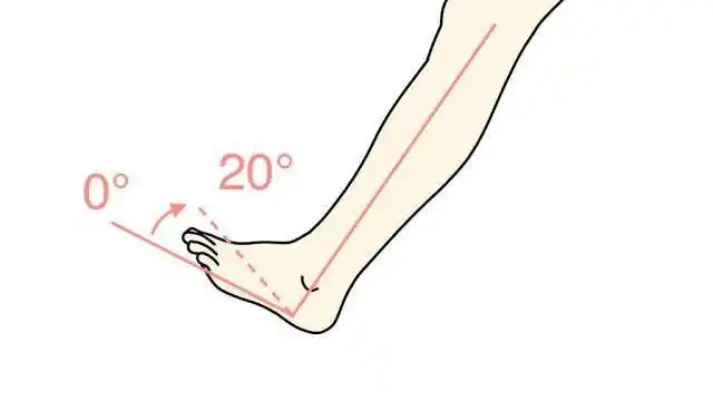 为什么在瑜伽练习中足部背屈很重要?跟膝盖有关系吗?