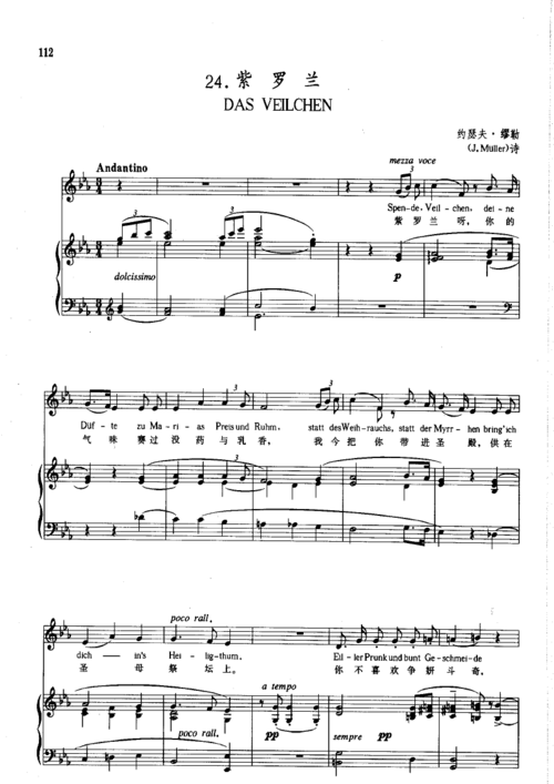 紫罗兰 钢伴 钢琴伴奏谱