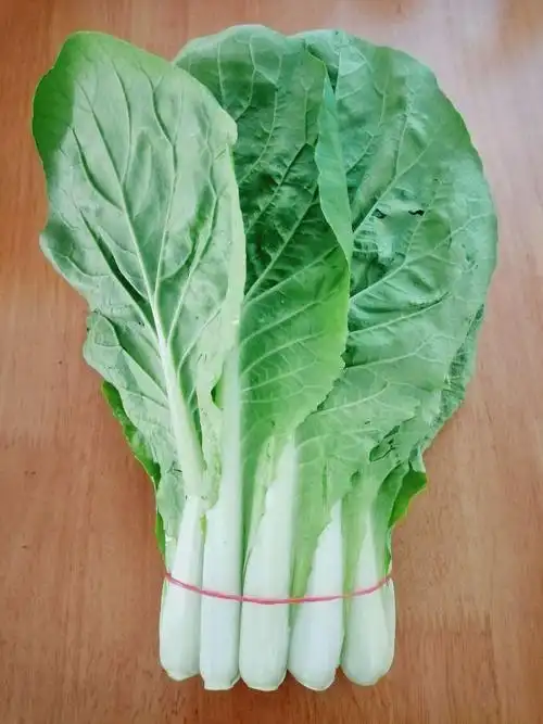 舌尖上的美食:白菜