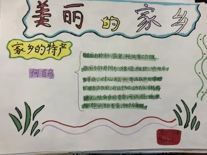"家乡特产,我为你代言"——滨海县永宁路实验学校永宁路校区五年级