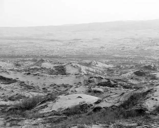 塞罕坝——荒原变林海的人间奇迹