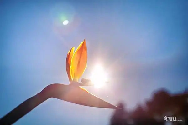 一米的阳光,好心情