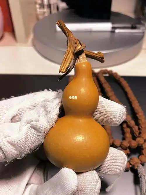 day113帮我儿子盘葫芦