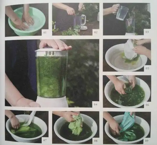 做一条植物染色丝巾