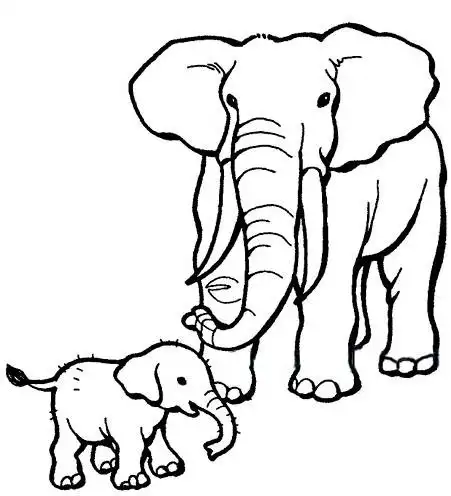 大象简笔画,大象与小象 动物简笔画