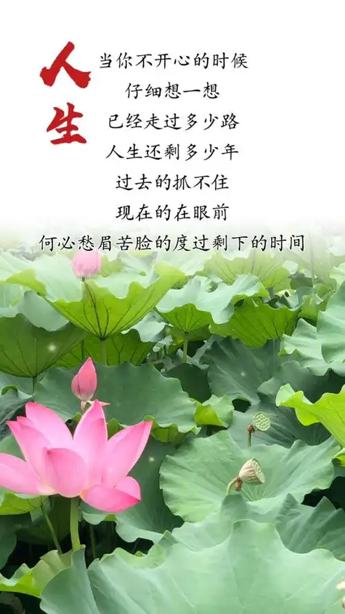 活在当下,开心过好每一天.