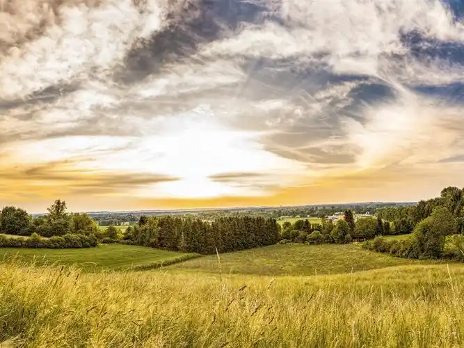 夏天,田野,树木,村庄,云,日落 4k