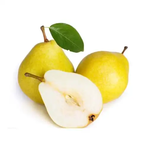 天津鸭梨5个怎么样