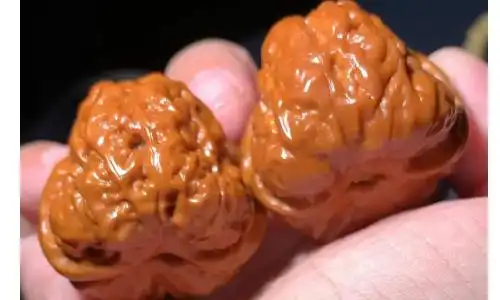 蛤蟆头属于高端核桃吗