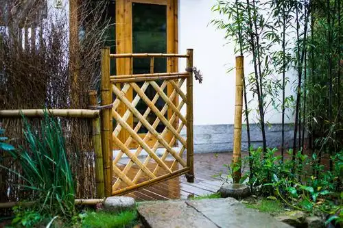 一洼菜地,一片小竹林 像爷爷家的院子.