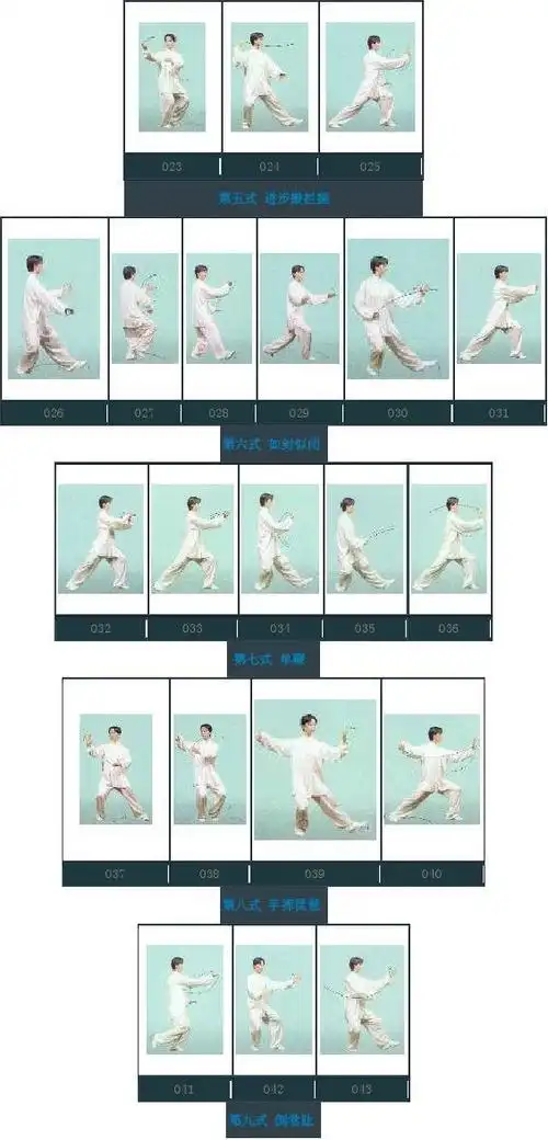 【十六式太极拳教学图解】