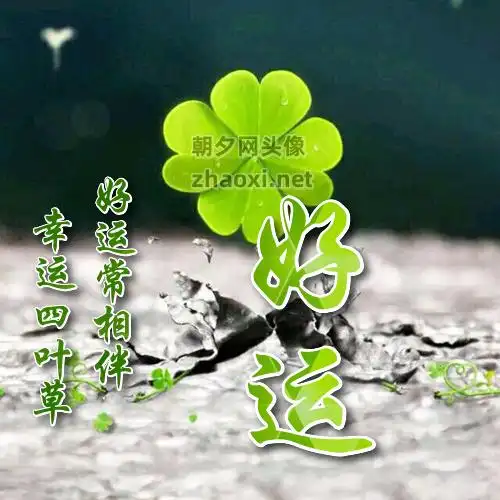 温馨提示:幸运四叶草 文艺青年陌陌头像 喜欢才做 节约时间