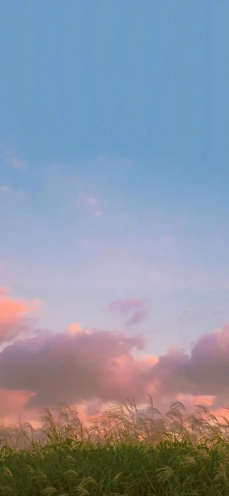 唯美小清新风景高清手机壁纸