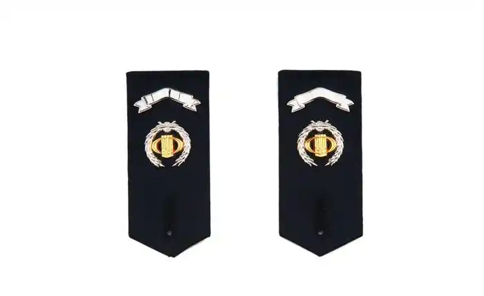 税务制服肩章种类【相关词_税务制服肩章】 - 随意优惠券