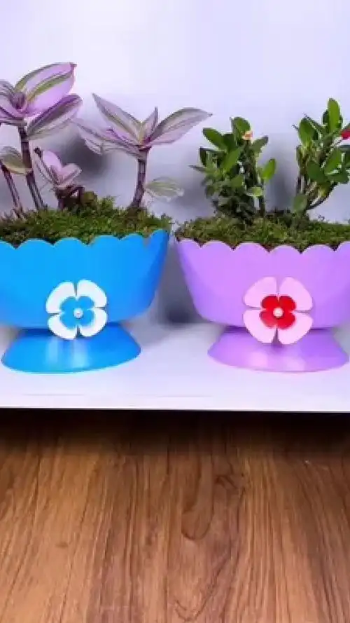 洗衣液瓶别再当废品扔了做花盆吧 #创作灵感 #变废为宝 #手工 #自制