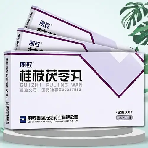 朗致桂枝茯苓丸浓缩水丸6丸20袋盒活血化瘀消症用于妇人宿有症块或