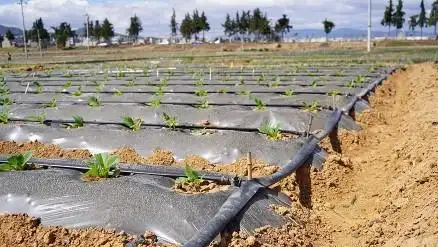 祥云建成21500亩烤烟高效节水灌溉项目