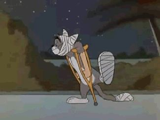 325_244gif 动态图 动图