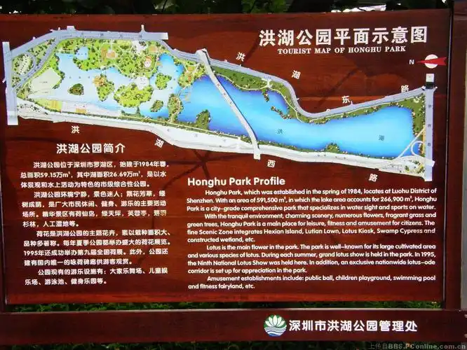 忒不甚愉快的深圳洪湖公园观2018年夏第29届荷花展览!