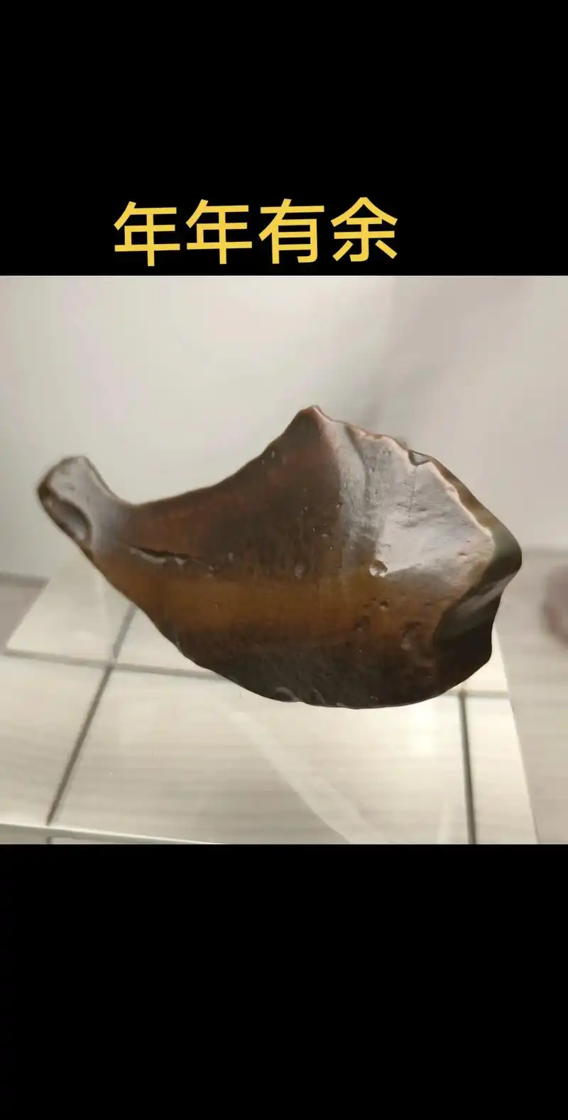 上热门 阿拉善戈壁老皮"年年有余