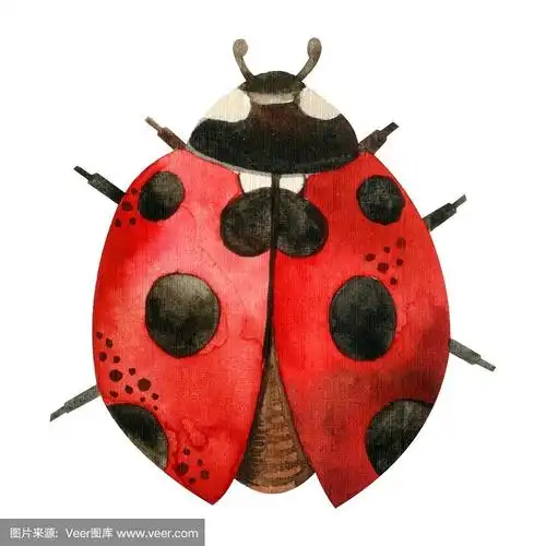 水彩图案可爱的红色瓢虫.