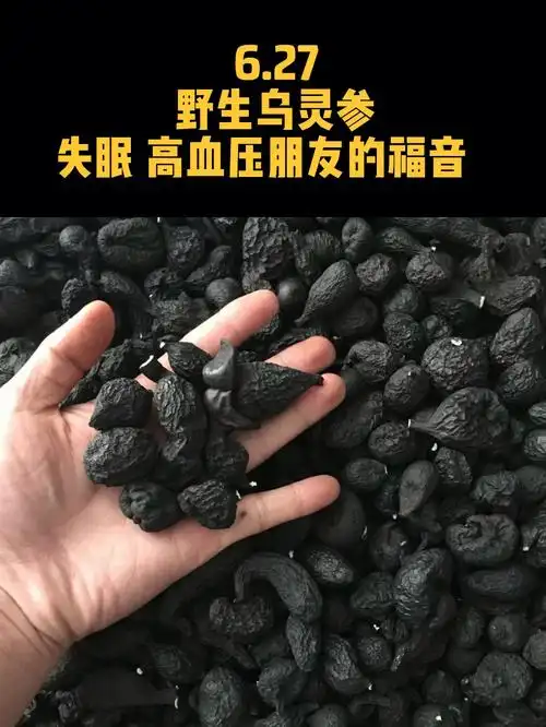 野生乌灵参失眠克星常吃睡得香