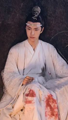 陈情令 蓝忘机 王一博