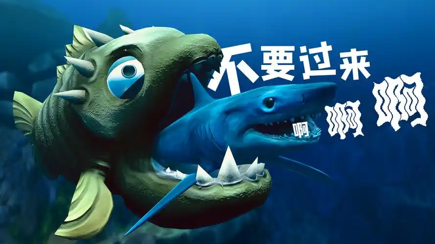 海底大猎杀01:食人鱼vs鲨鱼,谁更强?