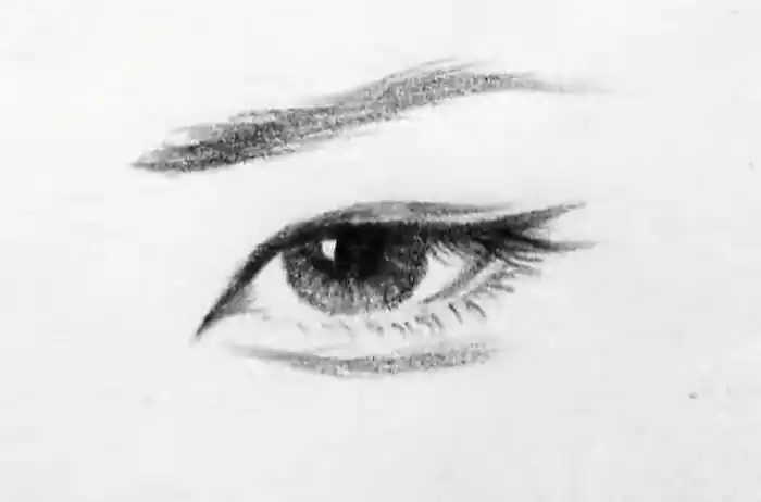 外眼角又像狐狸眼一样飞起来的,很多人搞不清楚狐狸眼和丹凤眼的区别