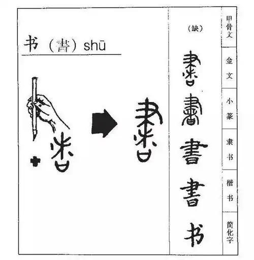 在古代罗马,"书"字,的含义是一片森林.