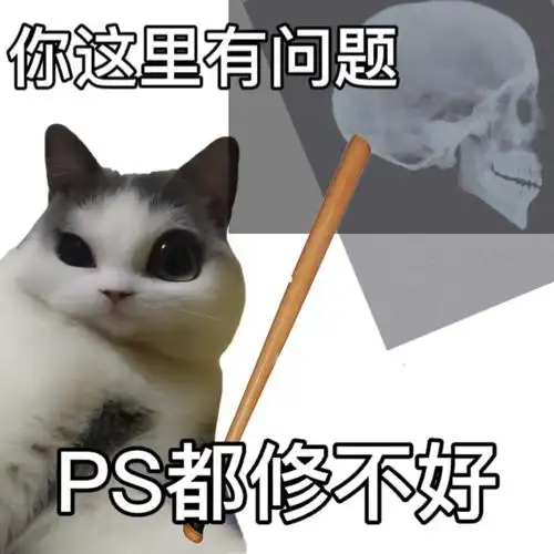 猫咪表情包  #表情包  #我最爱的表情包  #可爱表情包  #表情包分享
