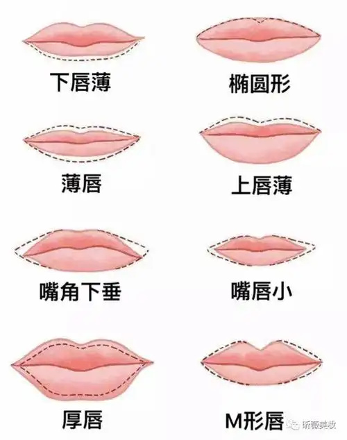 想要分辨自己是哪种唇形,女们可以参考下面这张图.
