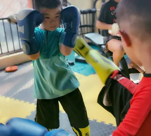 搏击训练在龙腾武悦练散打自由搏击的前提是必须全神贯注练散打自由