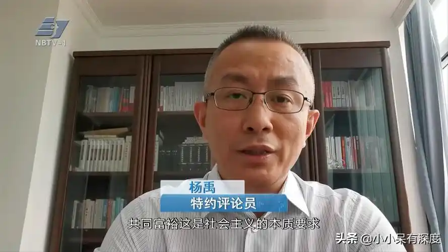 郎咸平世界杯(央视特约评论员杨禹是皖籍名嘴,他的时事评论,提纲挈领