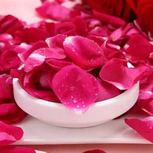 云南新鲜可食用玫瑰花花瓣滇红1斤滇红玫瑰花新鲜做酱酵素鲜花饼