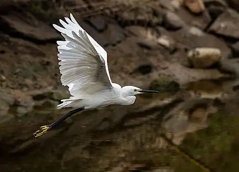 起飞图片_起飞图片大全_起飞图片下载