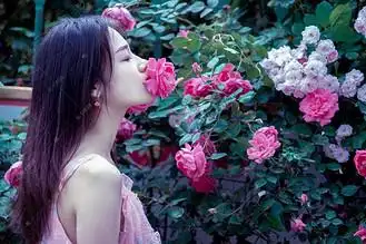 玫瑰花女孩图片_玫瑰花女孩设计图片素材大全-千库网