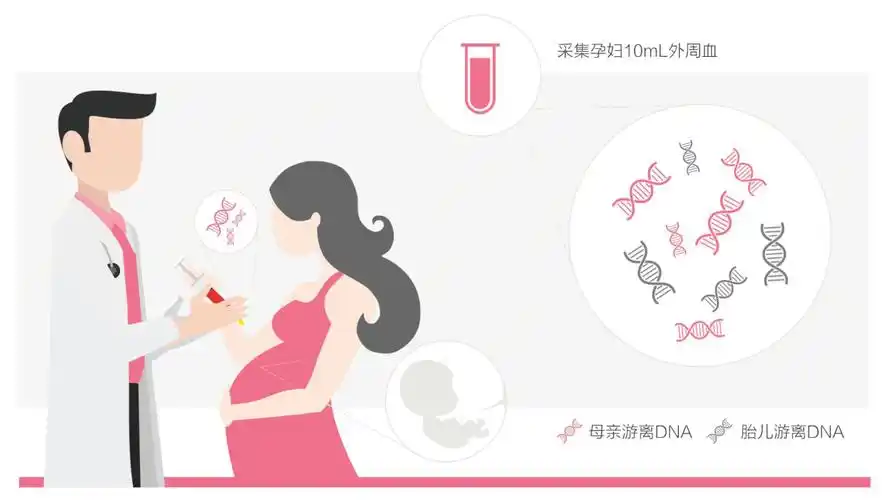 无创dna的准确率高吗?_检测_进行_染色体