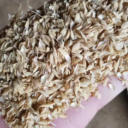 常年供应压缩稻壳散装稻壳稻壳粉种植养殖量大从优