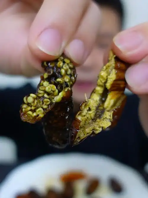 蚕蛾和蚕蛹傻傻分不清楚