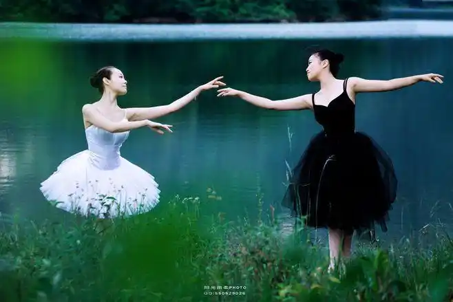 白天鹅与黑天鹅 #采集大赛